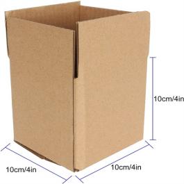 Normal Carton Box